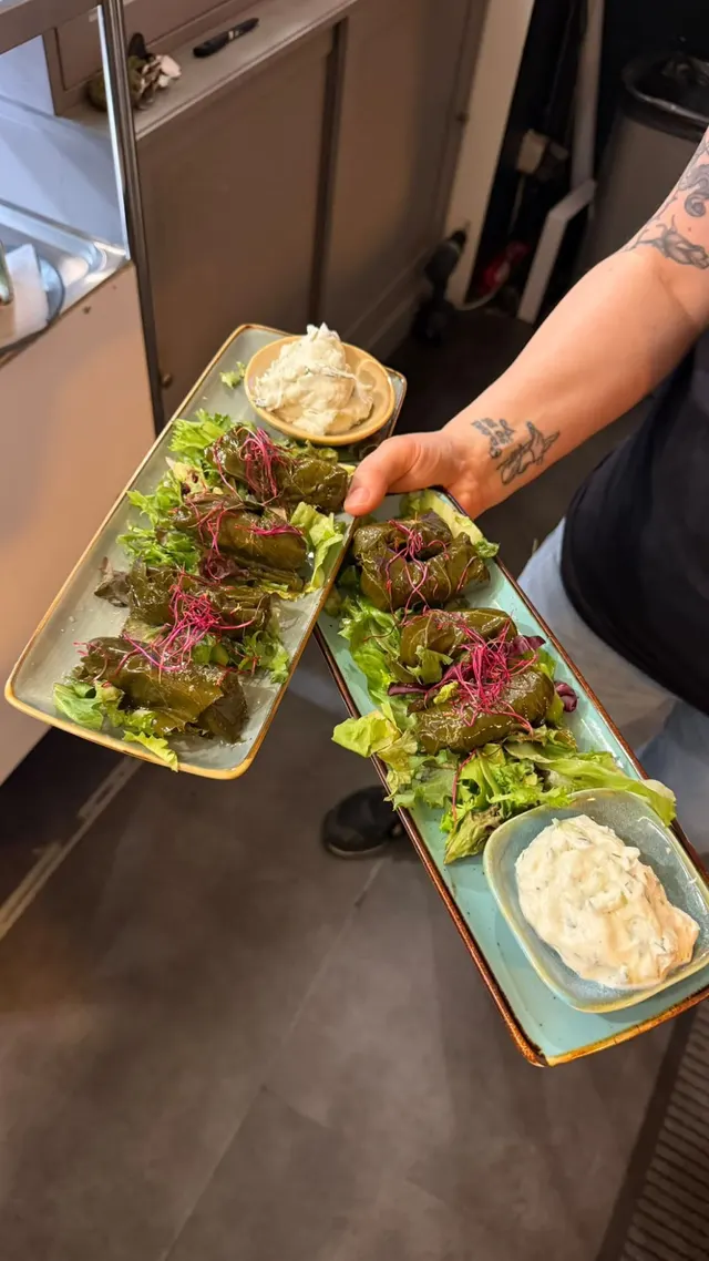 Gefüllte Weinblätter auf Salat mit Zaziki